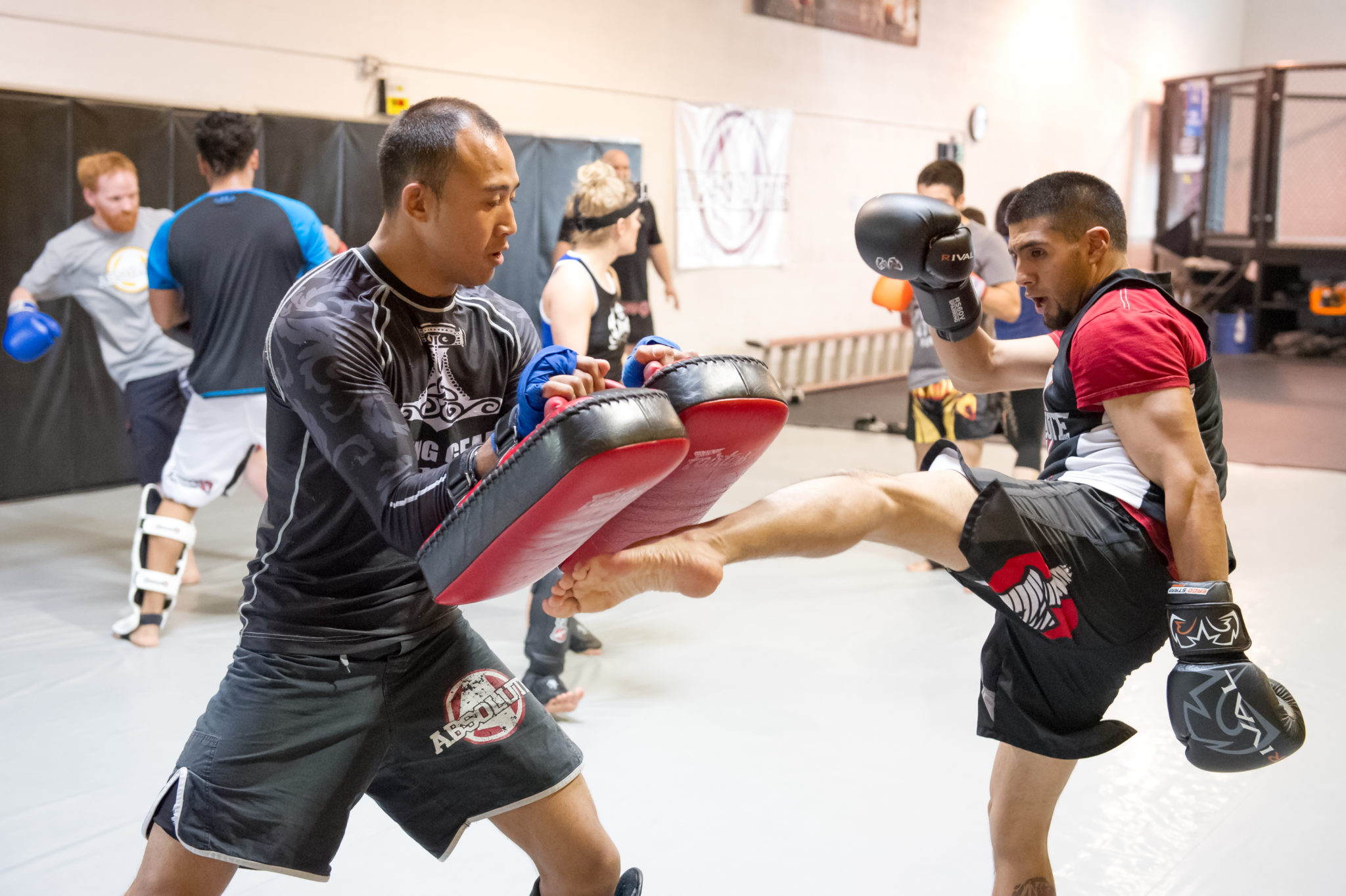 Kickboxing Absolute MMA