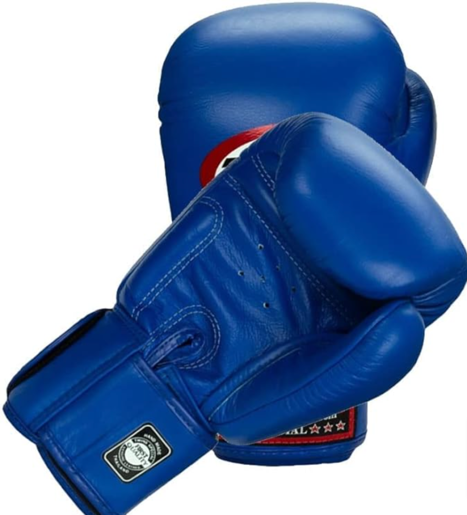 Little Fighters, Big Dreams: The Best Boxing Gloves for Kids to Train ...